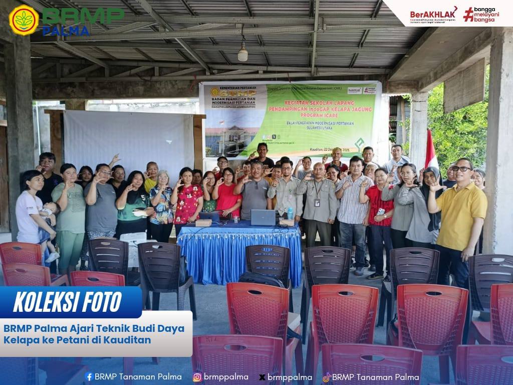 Edukasi Teknik Budi Daya Kelapa oleh BRMP Palma bagi Petani di Kauditan